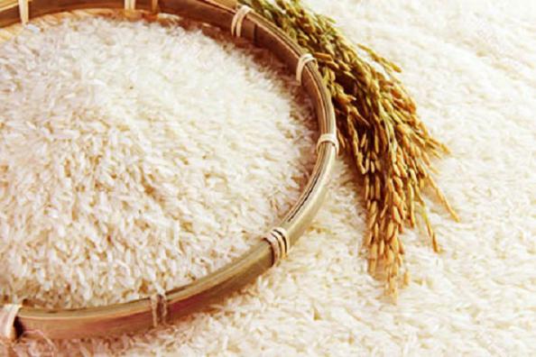 خواص برنج برای کودکان چیست؟