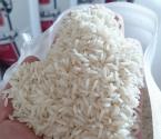 برنج طارم صادراتی اصل