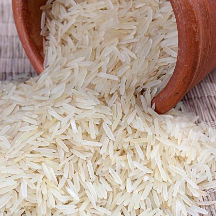  ایران مرکز تولید انواع برنج