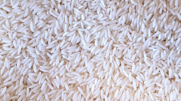 بررسی مراکز عرضه برنج طارم گیلان