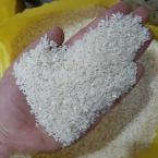 برنج لاشه طارم معطر صادراتی