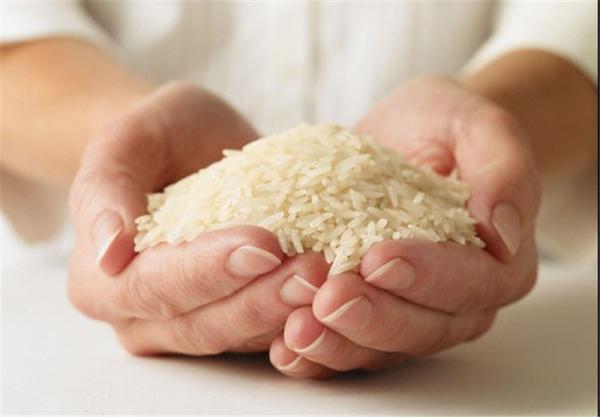 برنج فجر هاشمی