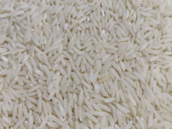 بهترین صادرکننده برنج فجر سوزنی