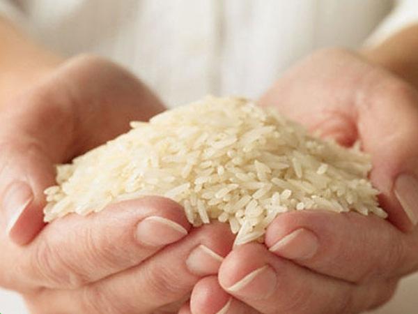 فروش مستقیم برنج طارم جنوب