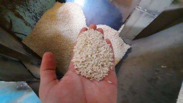 مراکز پخش برنج عنبربو جنوب