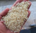 برنج طارم هاشمی صادراتی