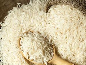 توزیع انواع برنج ایرانی دانه بلند