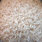 برنج ندا گرگان