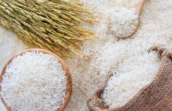 فروش ویژه برنج هاشمی صادراتی